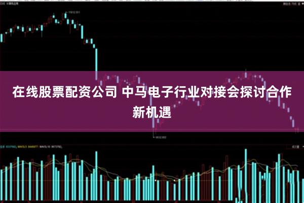 在线股票配资公司 中马电子行业对接会探讨合作新机遇