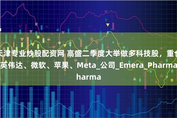 天津专业炒股配资网 高盛二季度大举做多科技股，重仓英伟达、微软、苹果、Meta_公司_Emera_Pharma