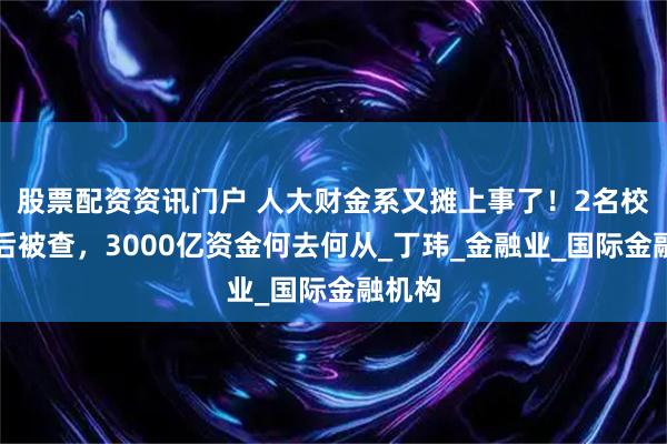 股票配资资讯门户 人大财金系又摊上事了!2名校友先后被查,3000亿资金何去何从_丁玮_金融业_国际金融机构