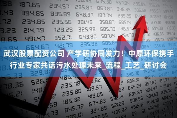 武汉股票配资公司 产学研协同发力！中原环保携手行业专家共话污水处理未来_流程_工艺_研讨会